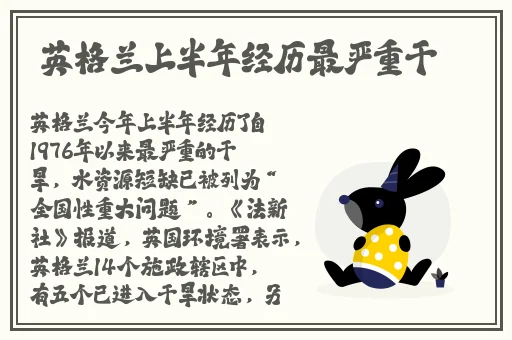 外国人打扑克又爽又痛