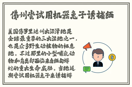 甜性密爱